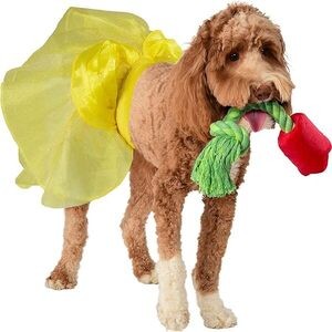 Rubie's Disney Princess Belle Tutu and Toy Bundle, As Shown, Small/Medium